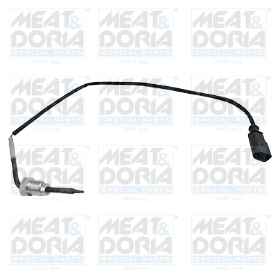 Sensor, exhaust gas temperature